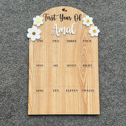 Baby’s Monthly Moments Photo Board